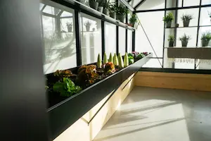 Tacka na nasiona o głębokości 50 cm